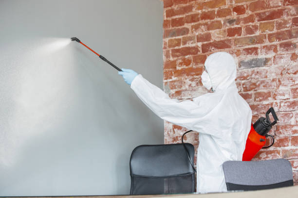 Best Post-Remediation Verification Testing  in North Branch, MN