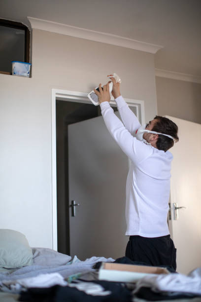 Best Emergency Mold Remediation  in North Branch, MN