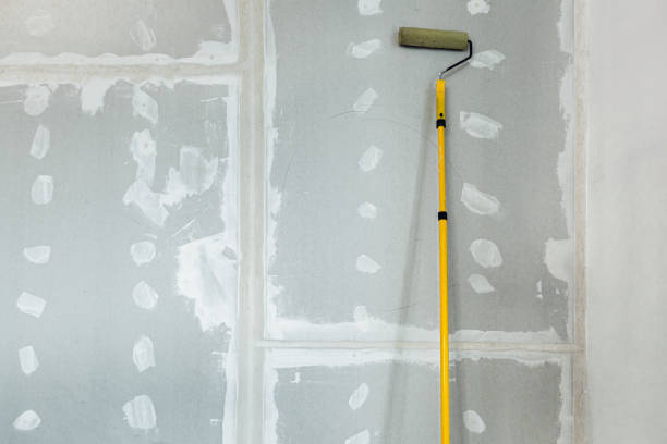 Best HVAC Mold Inspection and Cleaning  in North Branch, MN