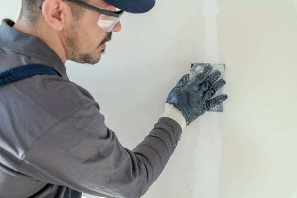 Best Post-Construction Mold Inspection  in North Branch, MN