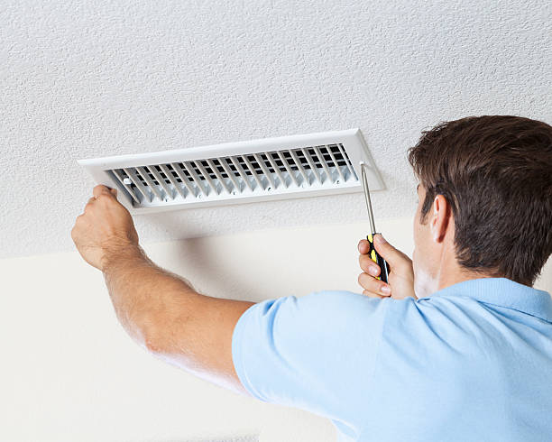 Best Mold Damage Restoration  in North Branch, MN