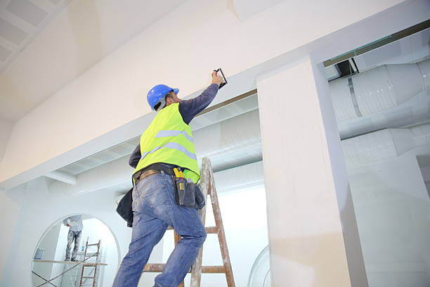 Best Dehumidification Services  in North Branch, MN
