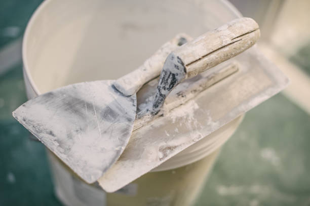 Best Black Mold Removal  in North Branch, MN