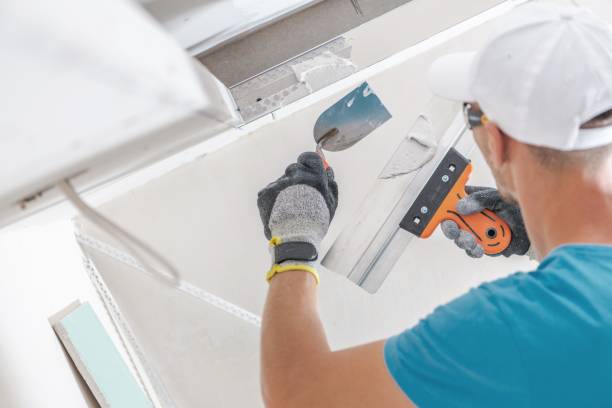Best Residential Mold Inspection & Testing  in North Branch, MN